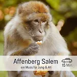 Sonnenterrasse - 3 Schlafzimmer, Whirlpool & Alpenblick - Perfekt Fuer Romantik Oder Familienurlaub Mit Kind , Hund Willkommen By Ferienwohnenamsee - Apartment Uberlingen