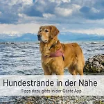 Apartment Sonnenterrasse - 3 Schlafzimmer, Whirlpool & Alpenblick - Perfekt Fuer Romantik Oder Familienurlaub Mit Kind , Hund Willkommen By Ferienwohnenamsee -