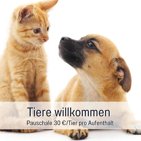 Sonnenterrasse - 3 Schlafzimmer, Whirlpool & Alpenblick - Perfekt Fuer Romantik Oder Familienurlaub Mit Kind , Hund Willkommen By Ferienwohnenamsee - Uberlingen