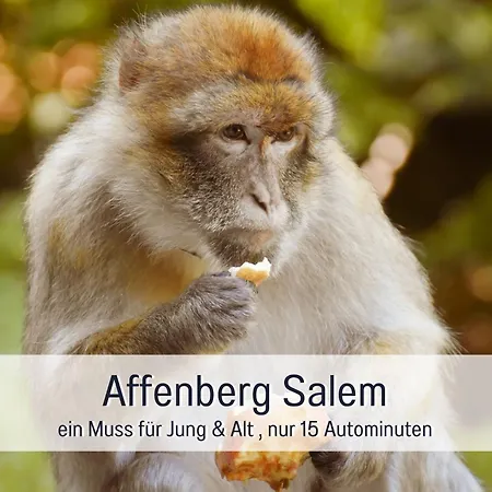 Sonnenterrasse - 3 Schlafzimmer, Whirlpool & Alpenblick - Perfekt Fuer Romantik Oder Familienurlaub Mit Kind , Hund Willkommen By Ferienwohnenamsee - * Uberlingen