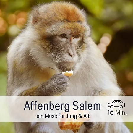 Sonnenterrasse - 3 Schlafzimmer, Whirlpool & Alpenblick - Perfekt Fuer Romantik Oder Familienurlaub Mit Kind , Hund Willkommen By Ferienwohnenamsee - Apartamento Uberlingen