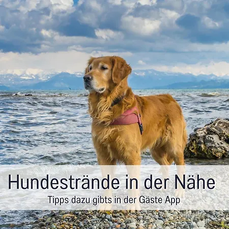 Daire Sonnenterrasse - 3 Schlafzimmer, Whirlpool & Alpenblick - Perfekt Fuer Romantik Oder Familienurlaub Mit Kind , Hund Willkommen By Ferienwohnenamsee -
