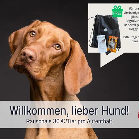 Sonnenterrasse - 3 Schlafzimmer, Whirlpool & Alpenblick - Perfekt Fuer Romantik Oder Familienurlaub Mit Kind , Hund Willkommen By Ferienwohnenamsee - * Uberlingen